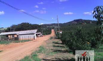 Imagem: Fazenda à venda em Carmo da Cachoeira/MG
