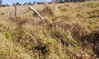 Imagem: Sítio à venda em Poços de Caldas/MG