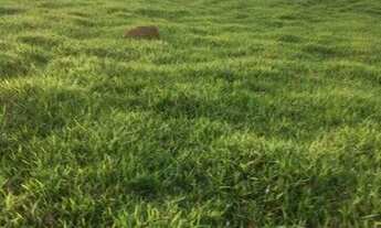 Imagem 2: Fazenda à venda no bairro Vila Ramos - Pouso Alegre/MG