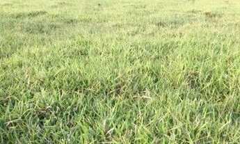 Imagem 4: Fazenda à venda no bairro Vila Ramos - Pouso Alegre/MG