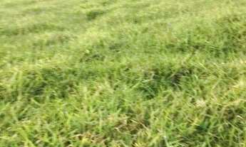 Imagem 6: Fazenda à venda no bairro Vila Ramos - Pouso Alegre/MG