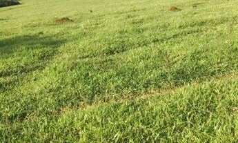 Imagem 3: Fazenda à venda no bairro Vila Ramos - Pouso Alegre/MG