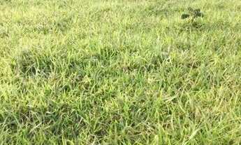 Imagem 5: Fazenda à venda no bairro Vila Ramos - Pouso Alegre/MG