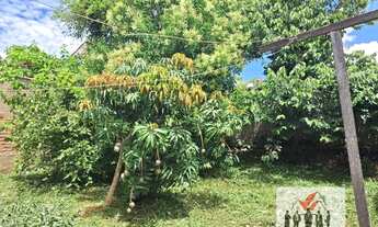 Imagem 7: Casa à venda no bairro Conjunto Habitacional Pedro Afonso Junqueira - Poços de Caldas/MG