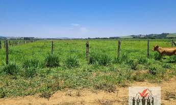 Imagem 6: Fazenda à venda em Pouso Alegre/MG