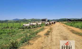 Imagem: Fazenda à venda em Pouso Alegre/MG