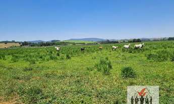 Imagem 4: Fazenda à venda em Pouso Alegre/MG