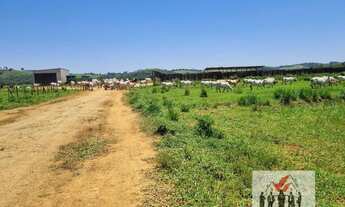 Imagem 3: Fazenda à venda em Pouso Alegre/MG