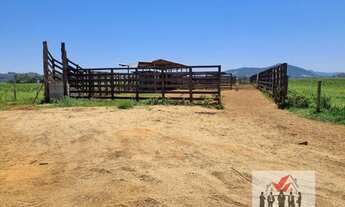 Imagem 7: Fazenda à venda em Pouso Alegre/MG