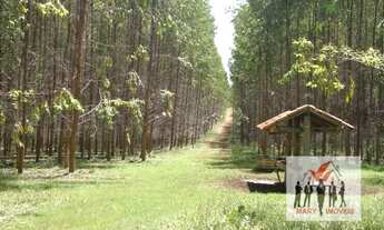 Imagem: Fazenda à venda no bairro Área Rural de