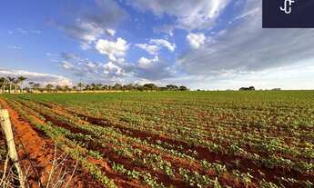 Imagem 6: ÁREA PARA LOTEAMENTO EM CESÁRIO LANGE – 132.500 m²