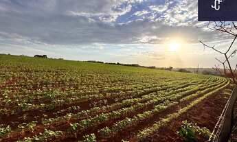 Imagem: ÁREA PARA LOTEAMENTO EM CESÁRIO LANGE