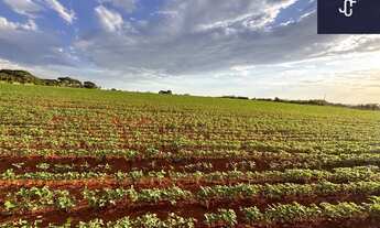 Imagem 4: ÁREA PARA LOTEAMENTO EM CESÁRIO LANGE – 132.500 m²