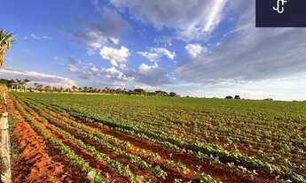 Imagem 2: ÁREA PARA LOTEAMENTO EM CESÁRIO LANGE – 132.500 m²