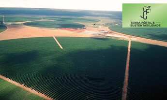 Imagem 5: FAZENDA DE CAFÉ A VENDA no triângulo Mineiro MG