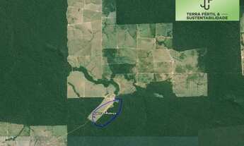 Imagem: Fazenda á Venda em Mata Virgem -MT