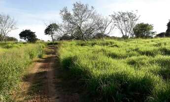 Imagem: Fazenda Pecuária à venda em Britânia/GO