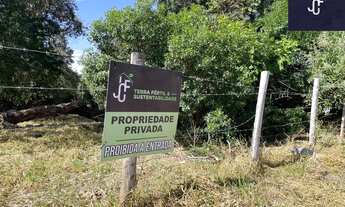 Imagem 2: ???? OPORTUNIDADE RARA EM APARECIDINHA – 6.000 m² DE POTENCIAL REAL