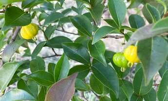 Imagem 4: Terreno Empresarial – 5.200 m² | Localização Estratégica entre Sorocaba e Itu