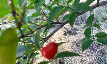 Imagem 5: Terreno Empresarial – 5.200 m² | Localização Estratégica entre Sorocaba e Itu