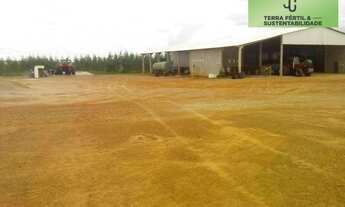 Imagem 4: FAZENDA A VENDA DIVISA DE PRIMAVERA DO LESTE COM PARANATINGA MT