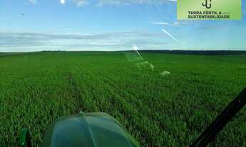 Imagem: FAZENDA A VENDA DIVISA DE PRIMAVERA DO LESTE