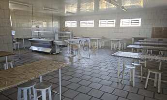 Imagem 6: Pavilhão/Galpão à venda no bairro Cidade Industrial - Curitiba/PR