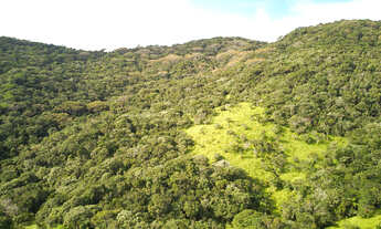 Imagem 7: Sítio Em Vargem Grande, Florianópolis - SC