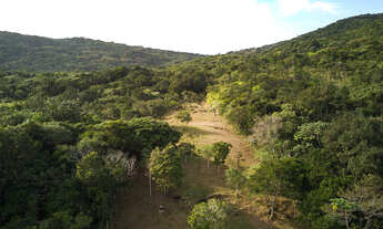 Imagem 2: Sítio Em Vargem Grande, Florianópolis - SC