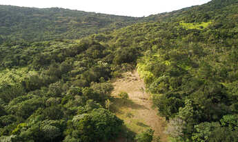 Imagem 3: Sítio Em Vargem Grande, Florianópolis - SC
