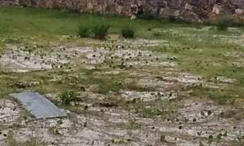 Imagem 2: Condominio Fechado - Lote Com 450m2 em Canasvieiras