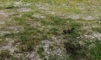 Imagem 5: Condominio Fechado - Lote Com 450m2 em Canasvieiras