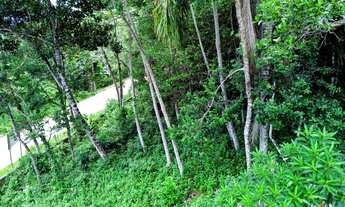 Imagem 5: Terreno Vista Mar Com 12.264m² Em Sambaqui