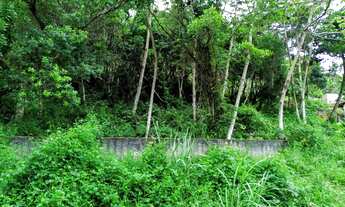 Imagem 4: Terreno Vista Mar Com 12.264m² Em Sambaqui