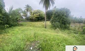 Imagem 5: Sitio com 2 casas, Piscina, Coqueiros de Arembepe 6.000m2