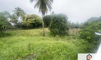 Imagem 6: Sitio com 2 casas, Piscina, Coqueiros de Arembepe 6.000m2