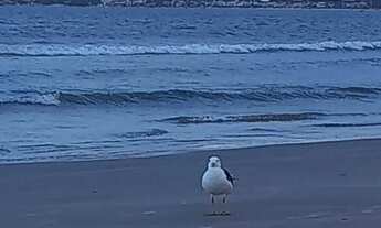 Imagem: Casa na praia pinheira a 5 minutos do mar