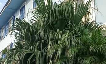 Imagem: Apartamento 3 dormitórios em coqueiros