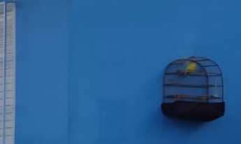 Imagem 3: Casa localizada na praia comprida (Sao José