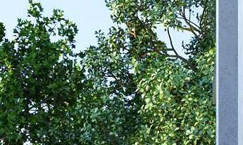 Imagem 4: Apartamento à venda no bairro Saguaçu - Joinville/SC