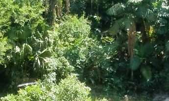 Imagem 4: Sobrado à venda no bairro Santa Catarina - Joinville/SC