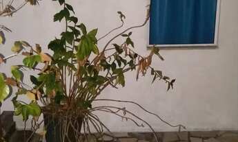 Imagem 7: Casa à venda no bairro Vila Cubatão - Joinville/SC