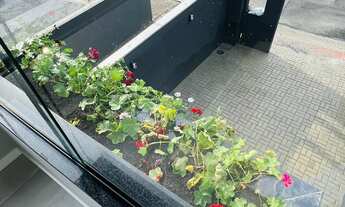 Imagem 4: Casa à venda no bairro Bom Retiro - Joinville/SC