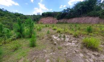 Imagem: Área à venda no bairro Vila Noêmia