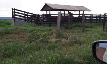 Imagem 3: FAZENDA COM GRANJA DE FRANGOS DE CORTES EM MUTUM MATO GROSSO