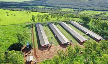 Imagem 2: FAZENDA COM GRANJA DE FRANGOS DE CORTES EM MUTUM MATO GROSSO