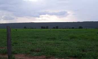 Imagem 4: FAZENDA COM GRANJA DE FRANGOS DE CORTES EM MUTUM MATO GROSSO