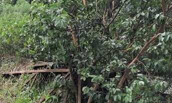 Imagem 4: TERRENO EM MAUA PARA VENDA OUNPERMUTA