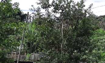 Imagem 2: TERRENO EM MAUA PARA VENDA OUNPERMUTA