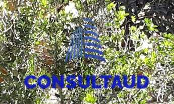 Imagem: Casa para venda em São Lourenço/MG